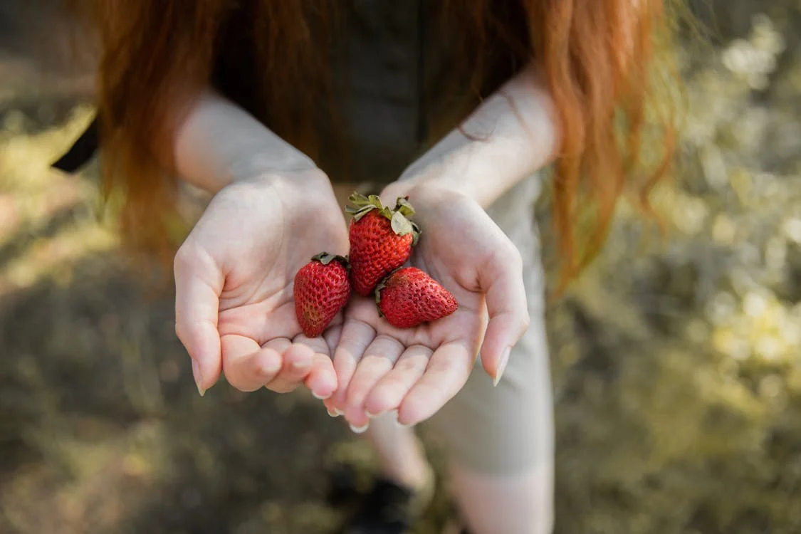Ripe Strawberries in the garden